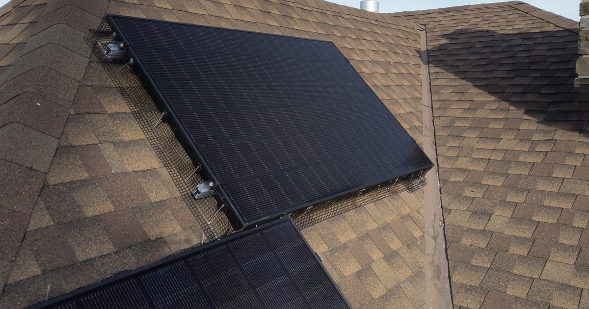 Solar panels with critter guard on residential roof